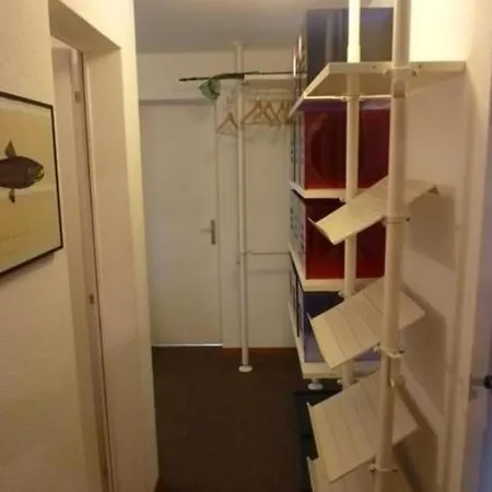Apartman Chesa Cuntainta *